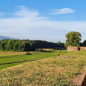 Marilu's Home: Behind San Martino Lucca
